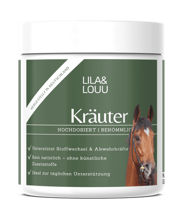 1 KG Premium Kräuter - Unterstützt Stoffwechsel & Abwehrkräfte